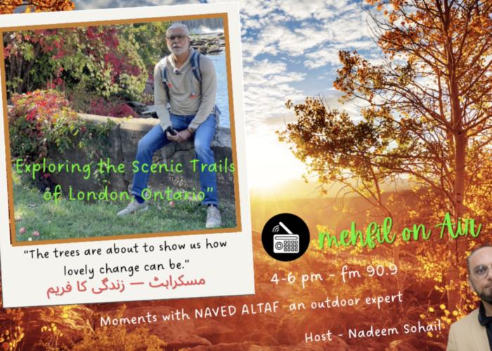 Screenshot 2025-12-25 at 9.59.54 PM